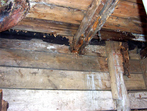 Hér má sjá fúa í vegg og gólfi í gömlu timburhúsi frá 1910.